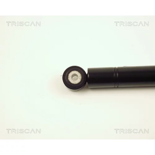 Tlmič vibrácií rebrovaného klinového remeňa 8710 23400 /TRISCAN/ - obr. 1
