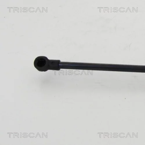 Pneumatická pružina, Batožinový/nákladný priestor 8710 24256 /TRISCAN/ - obr. 2