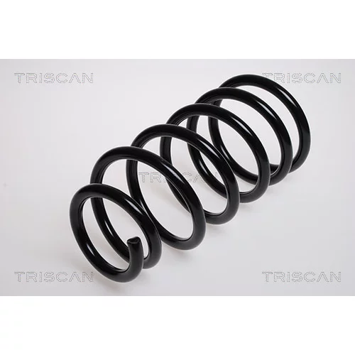 Pružina podvozku TRISCAN 8750 2538