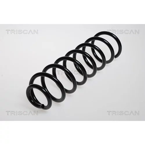 Pružina podvozku TRISCAN 8750 2551