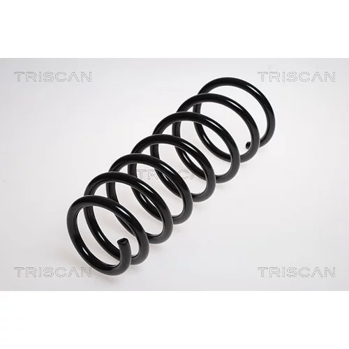Pružina podvozku TRISCAN 8750 2775