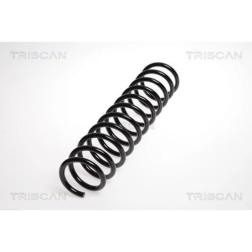 Pružina podvozku TRISCAN 8750 4276
