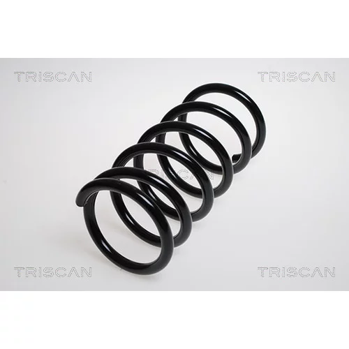 Pružina podvozku TRISCAN 8750 5070