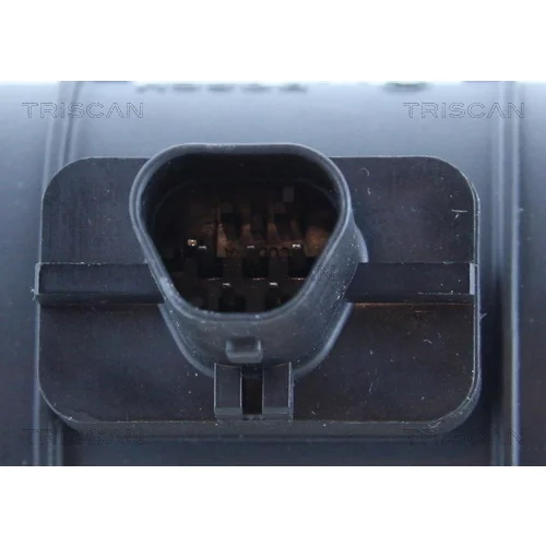 Merač hmotnosti vzduchu 8812 24021 /TRISCAN/ - obr. 1