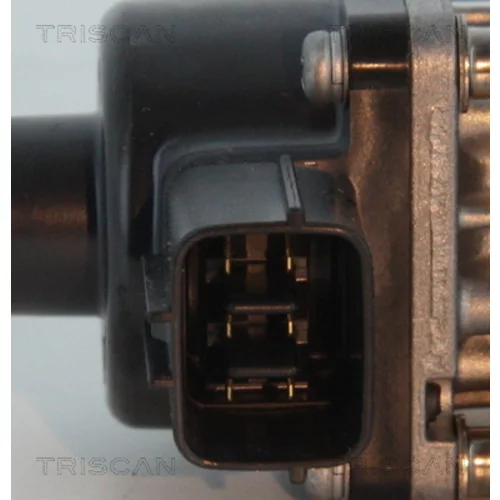 EGR ventil 8813 10013 /TRISCAN/ - obr. 1