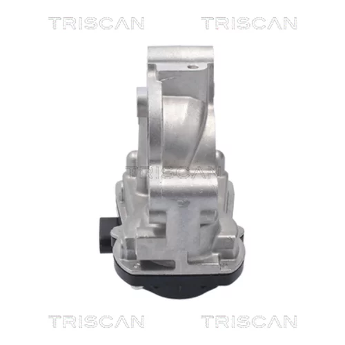 EGR ventil 8813 10056 /TRISCAN/ - obr. 3