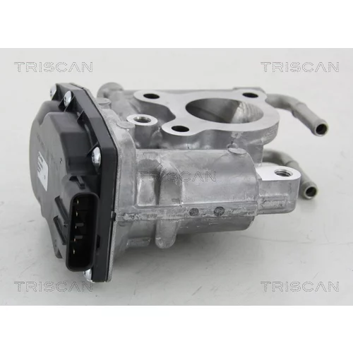 EGR ventil TRISCAN 8813 13021