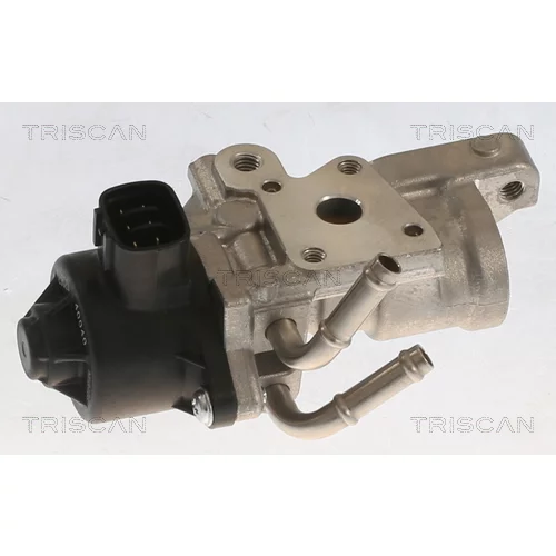 EGR ventil TRISCAN 8813 13070