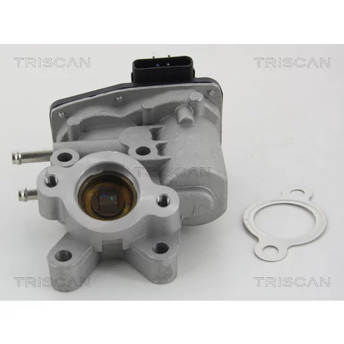 EGR ventil 8813 14100 /TRISCAN/ - obr. 2