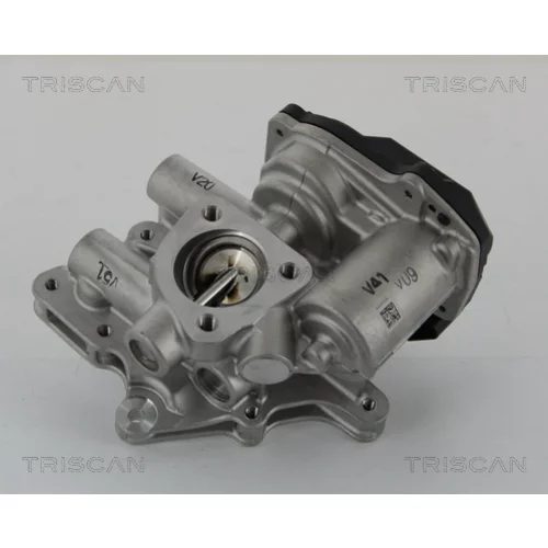 EGR ventil 8813 15205 /TRISCAN/ - obr. 2