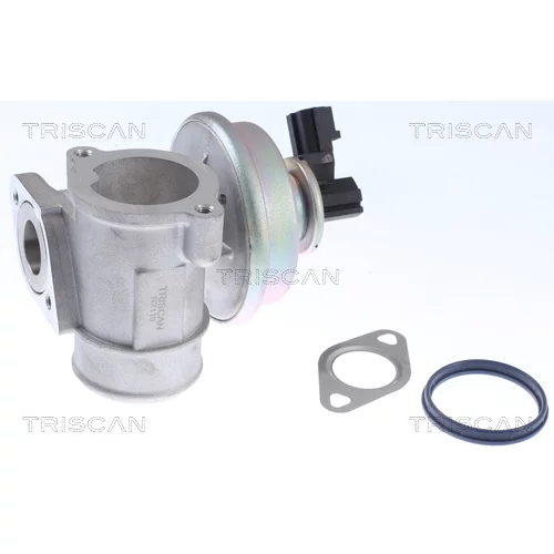 EGR ventil TRISCAN 8813 16054