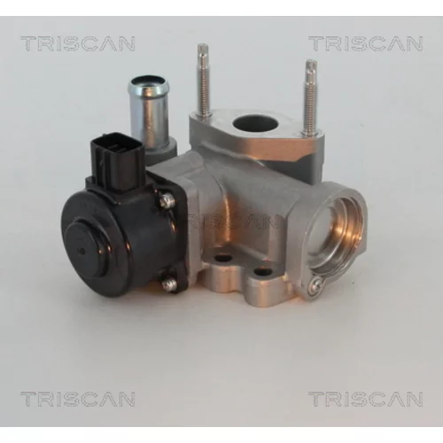 EGR ventil TRISCAN 8813 16203