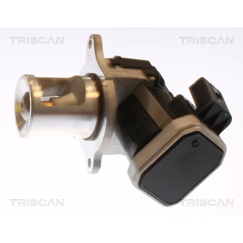 EGR ventil 8813 23101 /TRISCAN/ - obr. 2