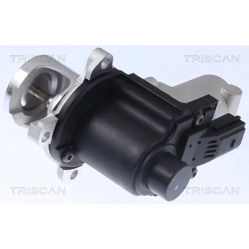 EGR ventil TRISCAN 8813 29015