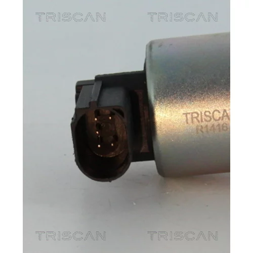 EGR ventil 8813 29045 /TRISCAN/ - obr. 1