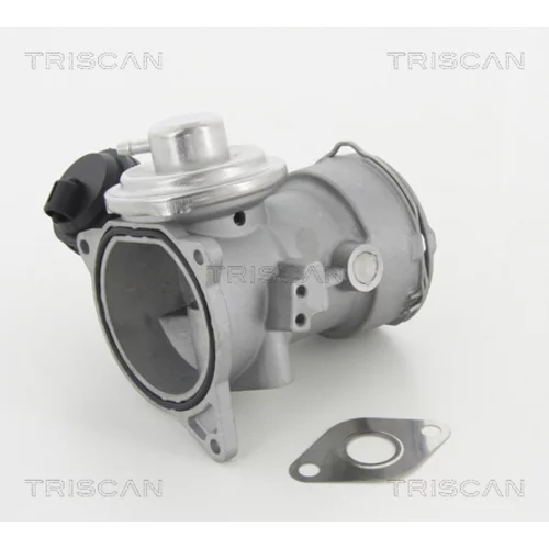 EGR ventil 8813 29056 /TRISCAN/ - obr. 2
