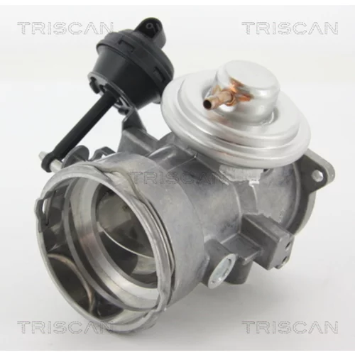 EGR ventil 8813 29070 /TRISCAN/ - obr. 1