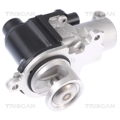 EGR ventil TRISCAN 8813 29338