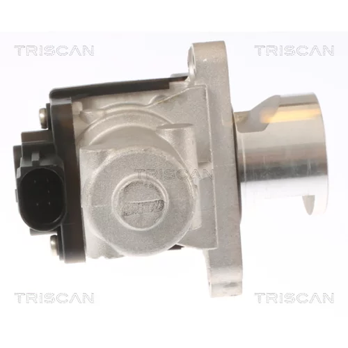 EGR ventil 8813 43010 /TRISCAN/ - obr. 1