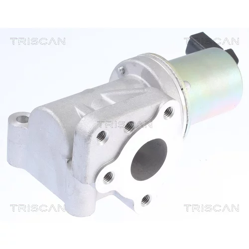 EGR ventil 8813 43015 /TRISCAN/
