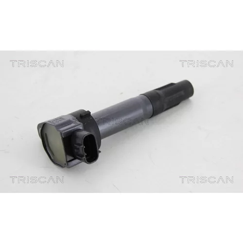Zapaľovacia cievka 8860 24027 /TRISCAN/