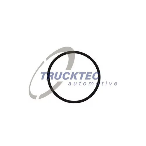 Tesnenie vstrekovacieho čerpadla 01.13.199 (TRUCKTEC AUTOMOTIVE)