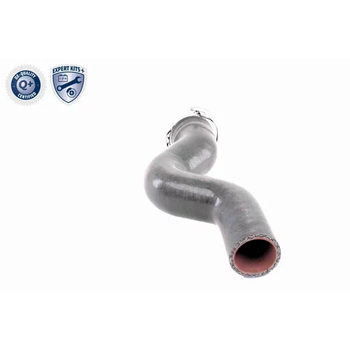 Hadica plniaceho vzduchu V38-0488 /VAICO/ - obr. 3