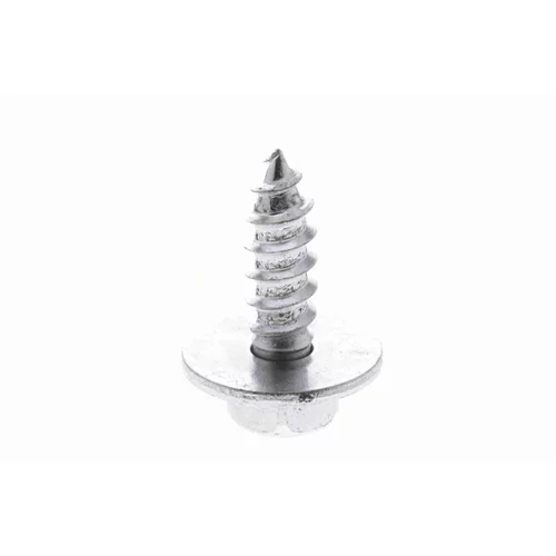 Skrutka V10-2021 /VAICO/ - obr. 1