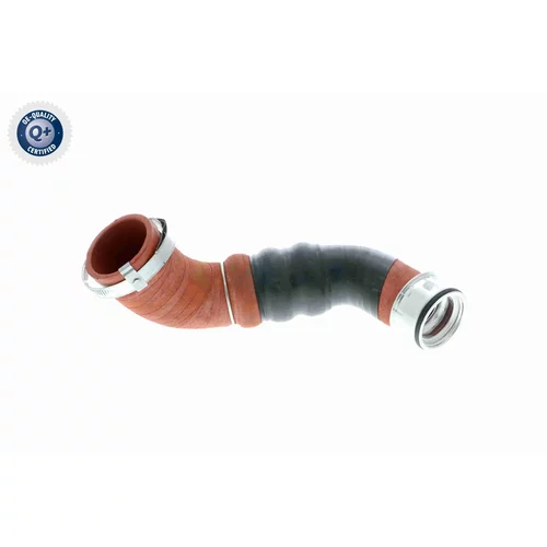 Hadica plniaceho vzduchu V10-2919 /VAICO/ - obr. 1