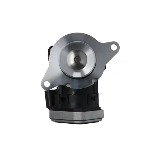 EGR ventil VALEO 703262