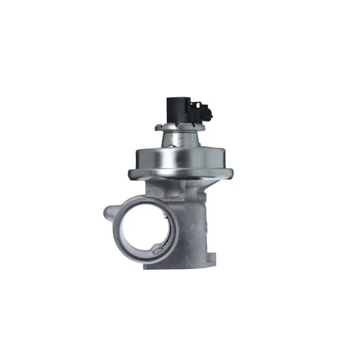 EGR ventil 703256 /VALEO/ - obr. 1