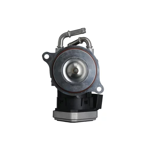 EGR ventil VALEO 703250