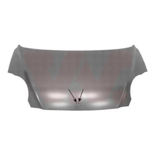 Kapota motora VAN WEZEL 0807660