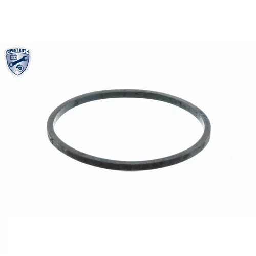 Obal termostatu V24-99-0046 /VEMO/ - obr. 1
