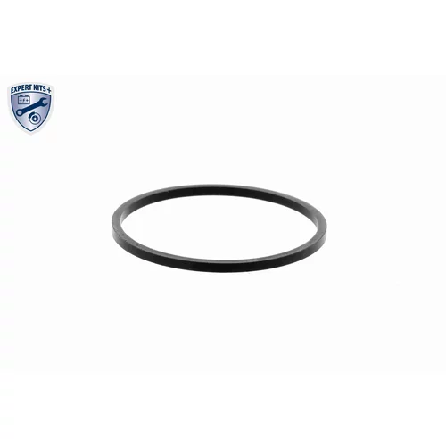 Obal termostatu V24-99-0017 /VEMO/ - obr. 1