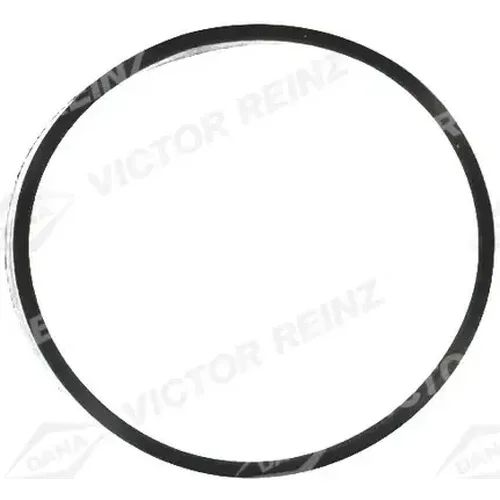 Tesniaci krúžok, termostat VICTOR REINZ 71-20866-00