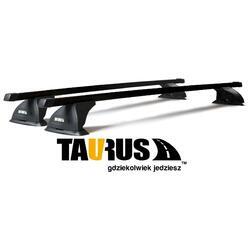 Taurus CarryUp hliníkový lúč 110cm