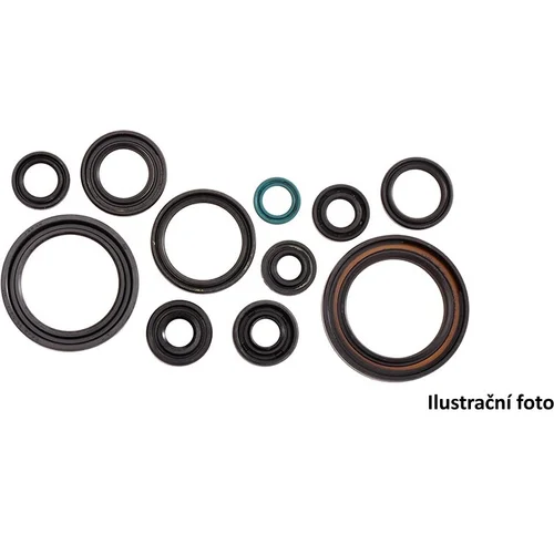 Sada gufer motoru ATHENA P400485400045