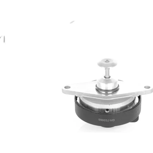 EGR ventil AUTO-GH GH-733665