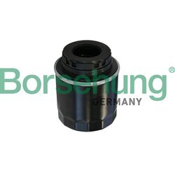 Olejový filter Borsehung B10527