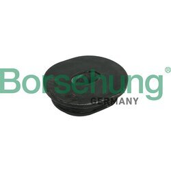 Uloženie chladiča Borsehung B11362