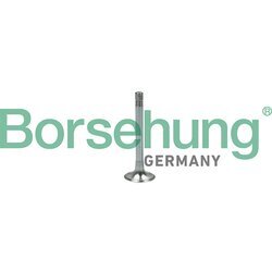 Výfukový ventil Borsehung B18999