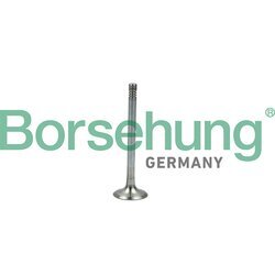 Výfukový ventil Borsehung B19005