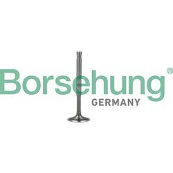 Výfukový ventil Borsehung B19010