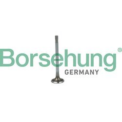 Nasávací ventil Borsehung B19020