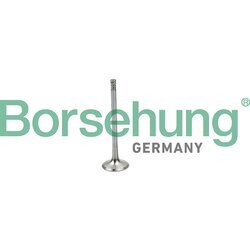 Nasávací ventil Borsehung B19025