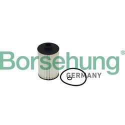 Olejový filter Borsehung B10519