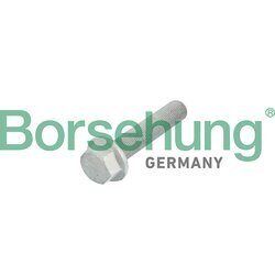 Centrovacia skrutka remenice kľukového hriadeľa Borsehung B10633