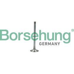 Výfukový ventil Borsehung B19007