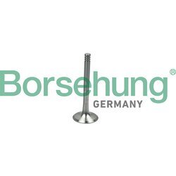 Výfukový ventil Borsehung B19014